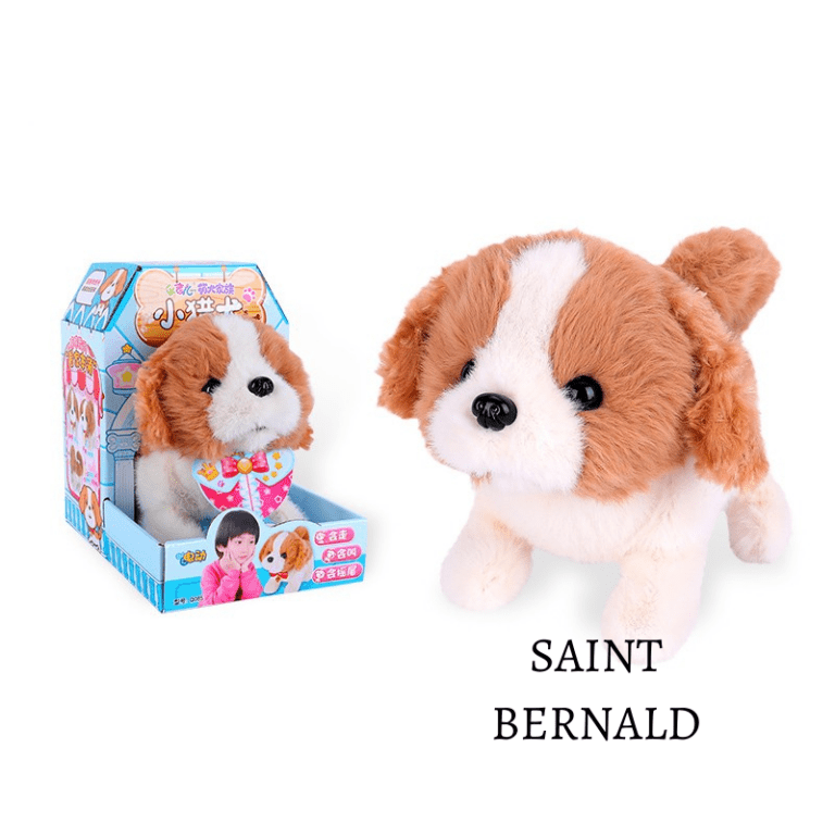 hs-puppy-BERNALD-ali-768x768