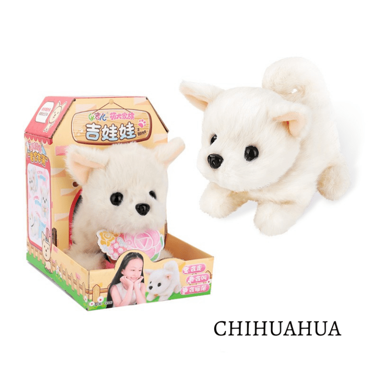 hs-puppy-CHIHUAHUA-ali-768x768