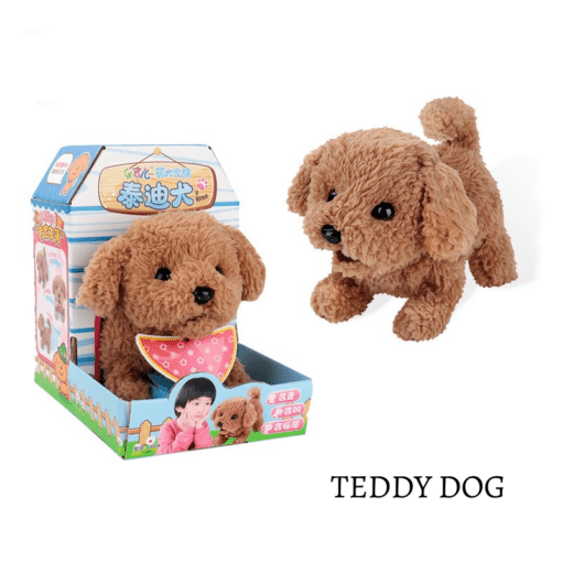 hs-puppy-TEDDYDOGali