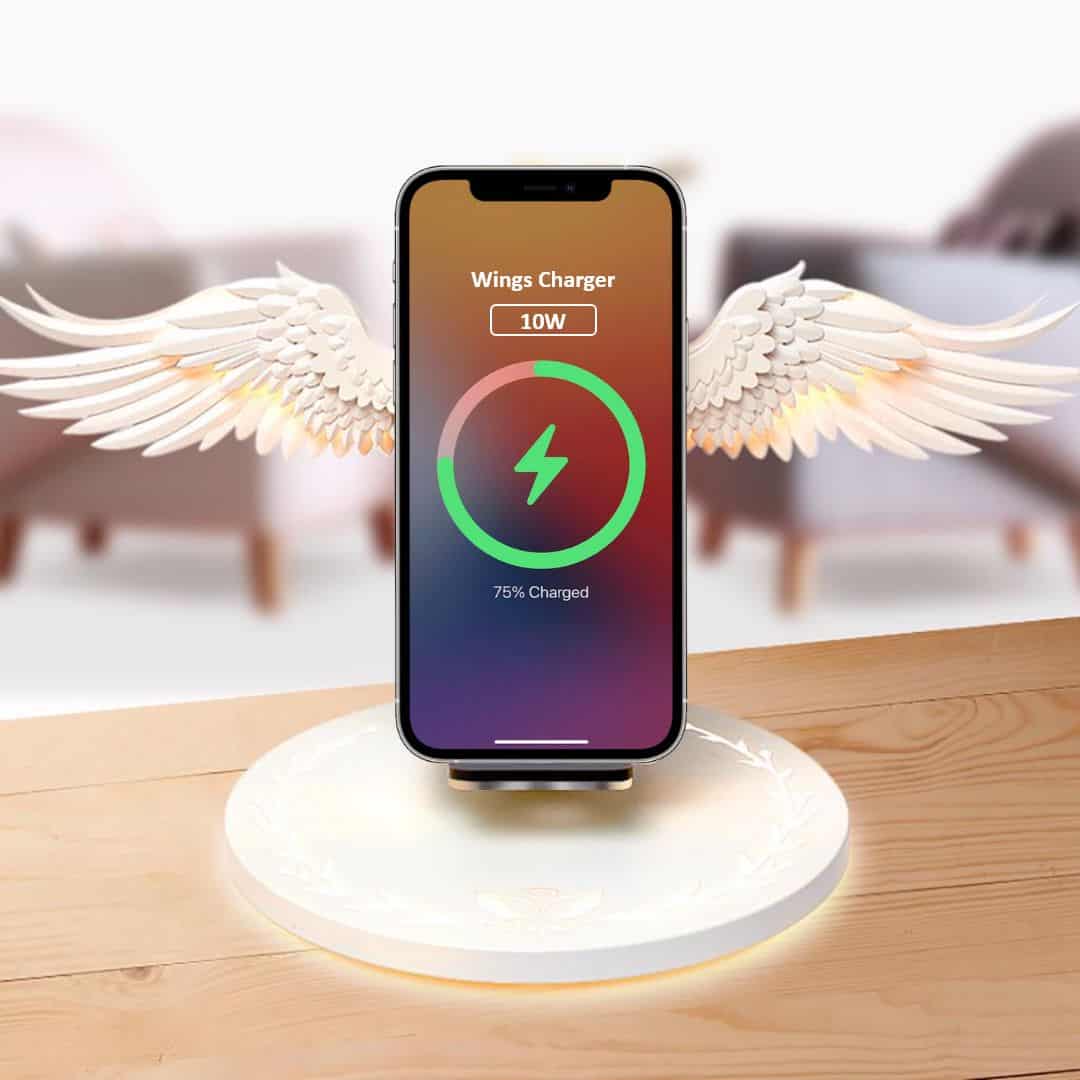 hs-wingscharger-ali PP-1