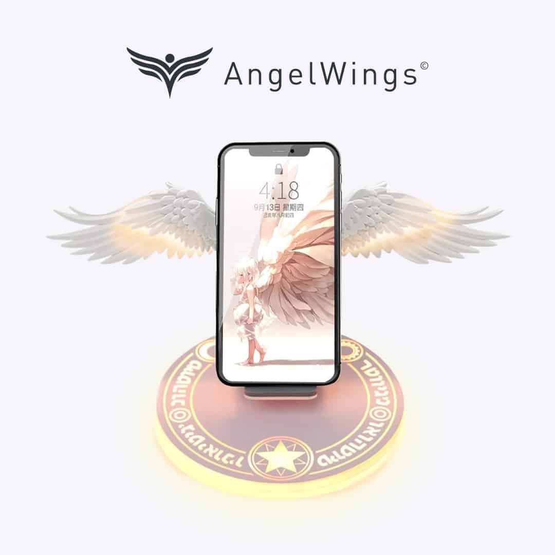 hs-wingscharger-ali PP-6